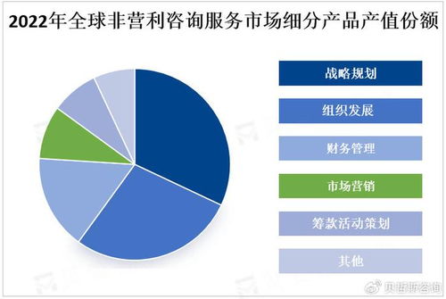 全球非营利咨询服务市场持续扩容 社会经济领域的机遇与挑战